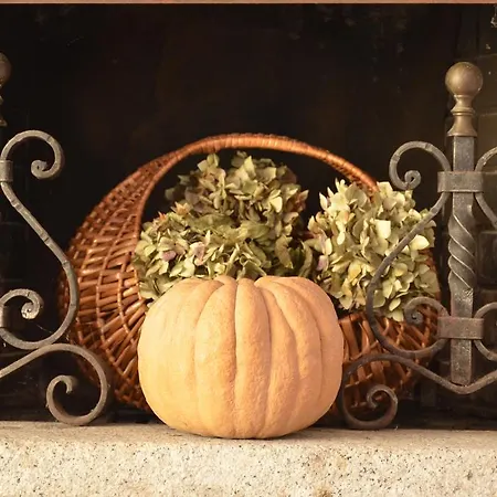 Appartement Anma Sole