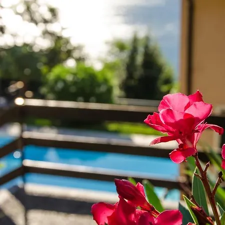 Appartement Anma Sole *