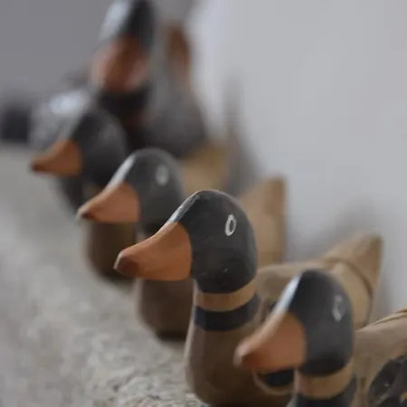 Appartement Anma Sole