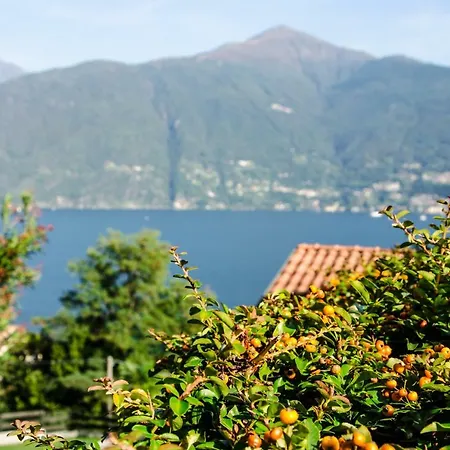 Anma Sole * Acquaseria