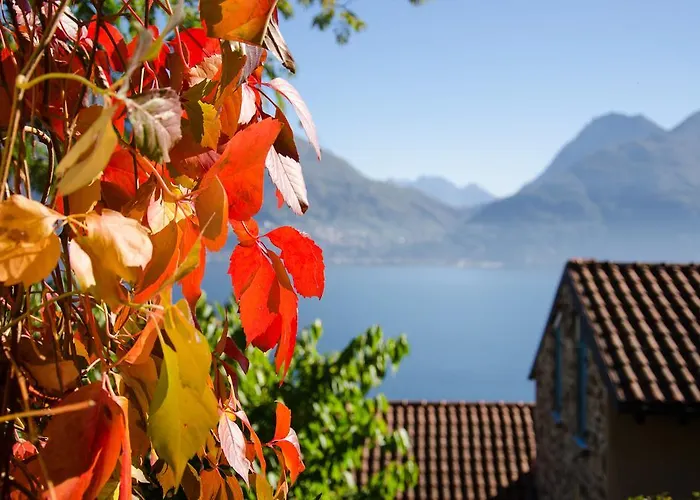 Appartement Anma Sole *