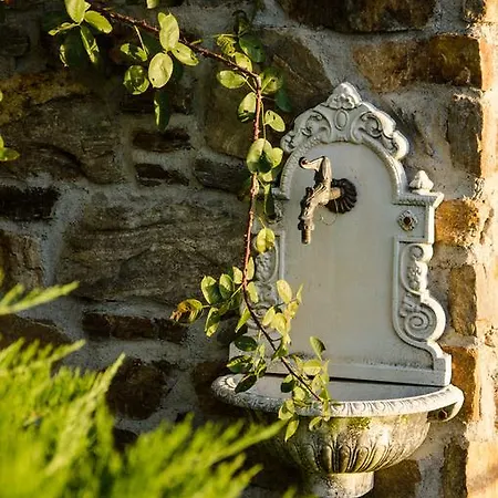 Anma Sole Acquaseria