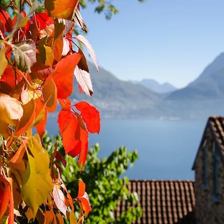 아파트 Anma Sole *