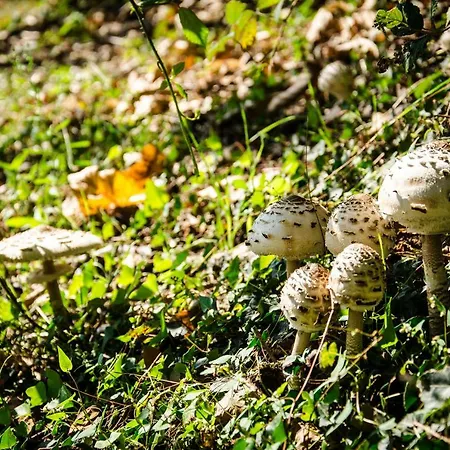 Anma Sole 아파트 Acquaseria