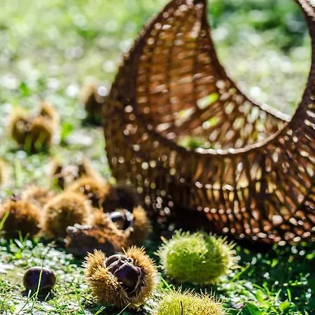 아파트 Anma Sole *